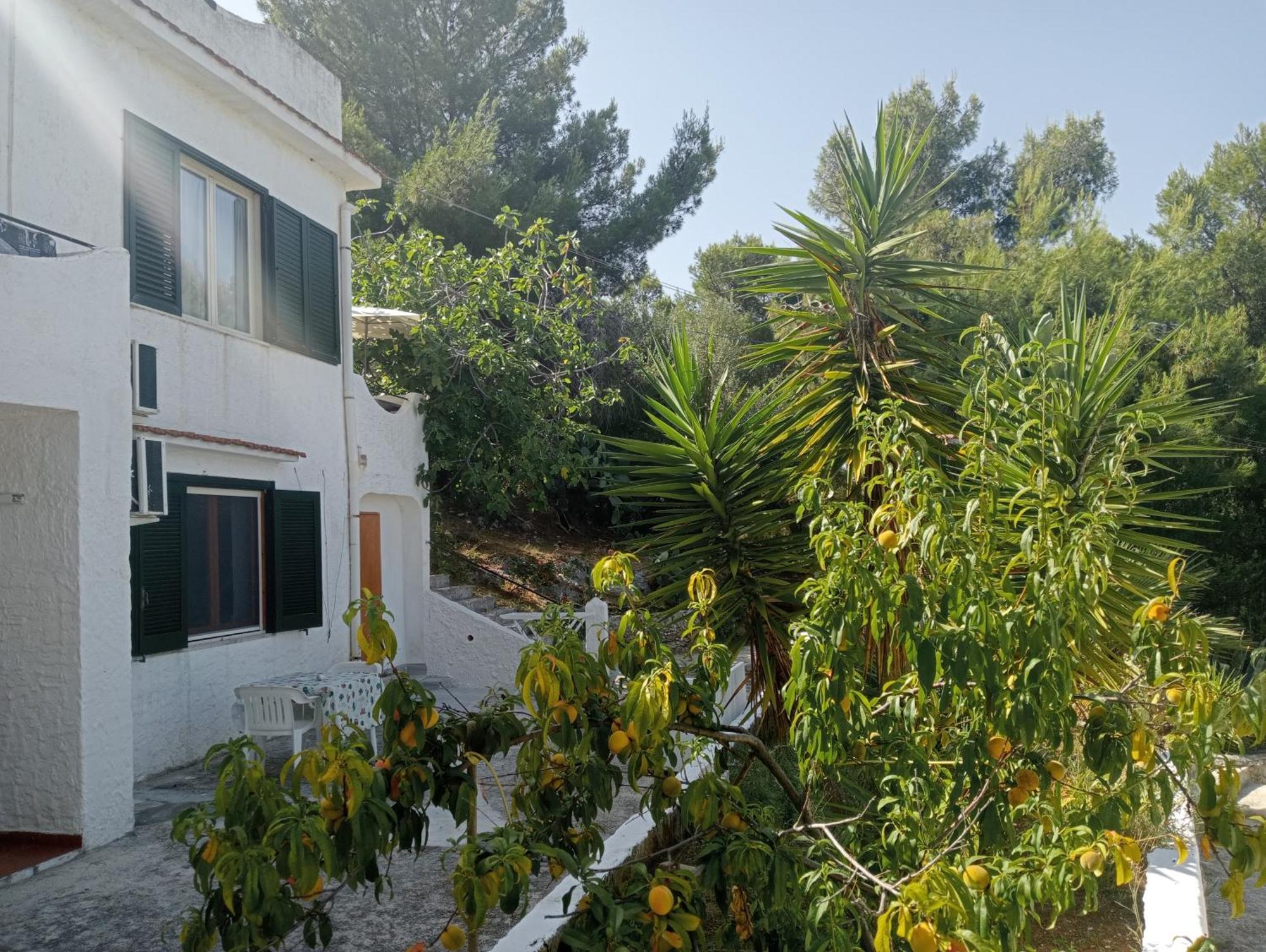 Residence Dolce Far Niente Vieste Extérieur photo